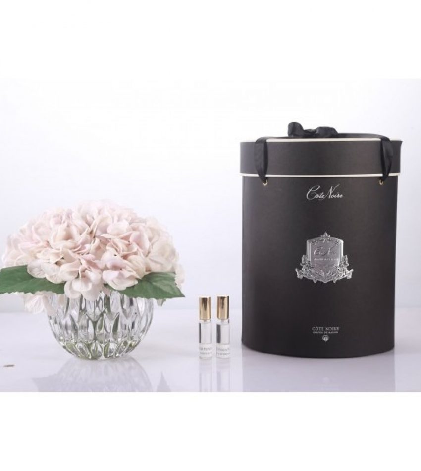 Cote Noire Hydrangeas Blush-Clear Round Vase 绣球型瓶永生花香薰（腮红色）LHY03